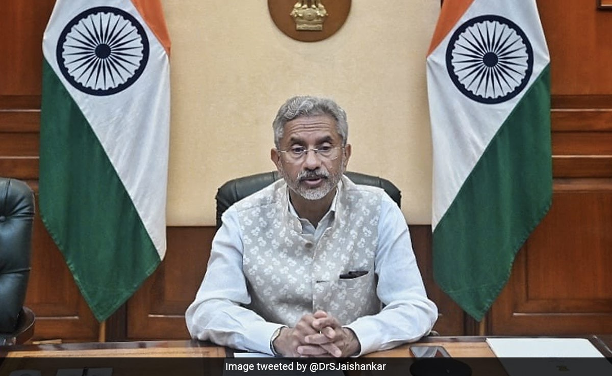 S Jaishankar Talks About "Challenges" Of India's G20 Presidency At UN