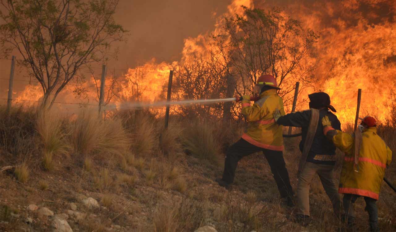 Threat of wildfires is rising, so are new artificial intelligence solutions to fight them