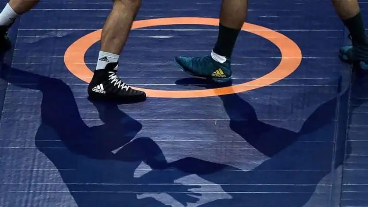 Wrestling Nationals In Jaipur From February 2-5, Says WFI Ad-Hoc Panel