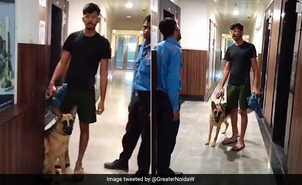 Video: Guard Asks Noida Dog Owner To Exit Lift After Child Gets Scared, Argument Ensues