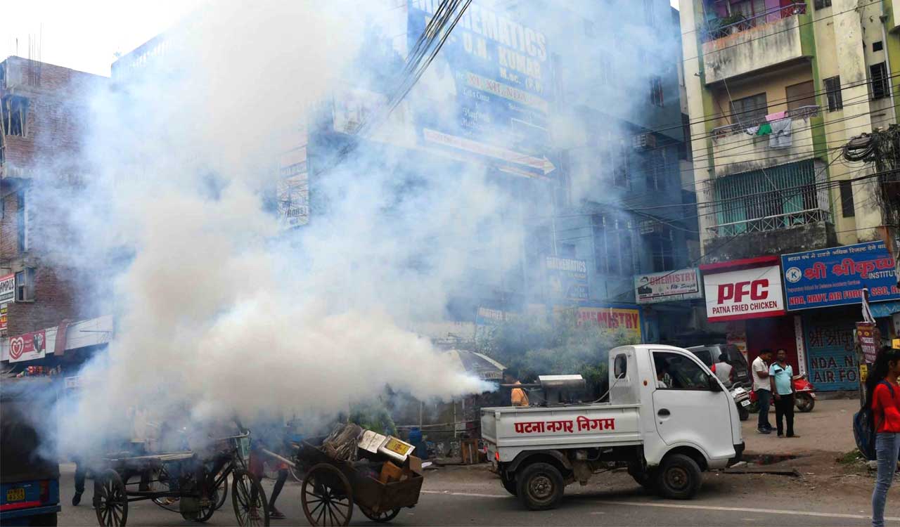 Delhi Govt to launch dengue awareness campaign as mosquito-breeding sites stabilize