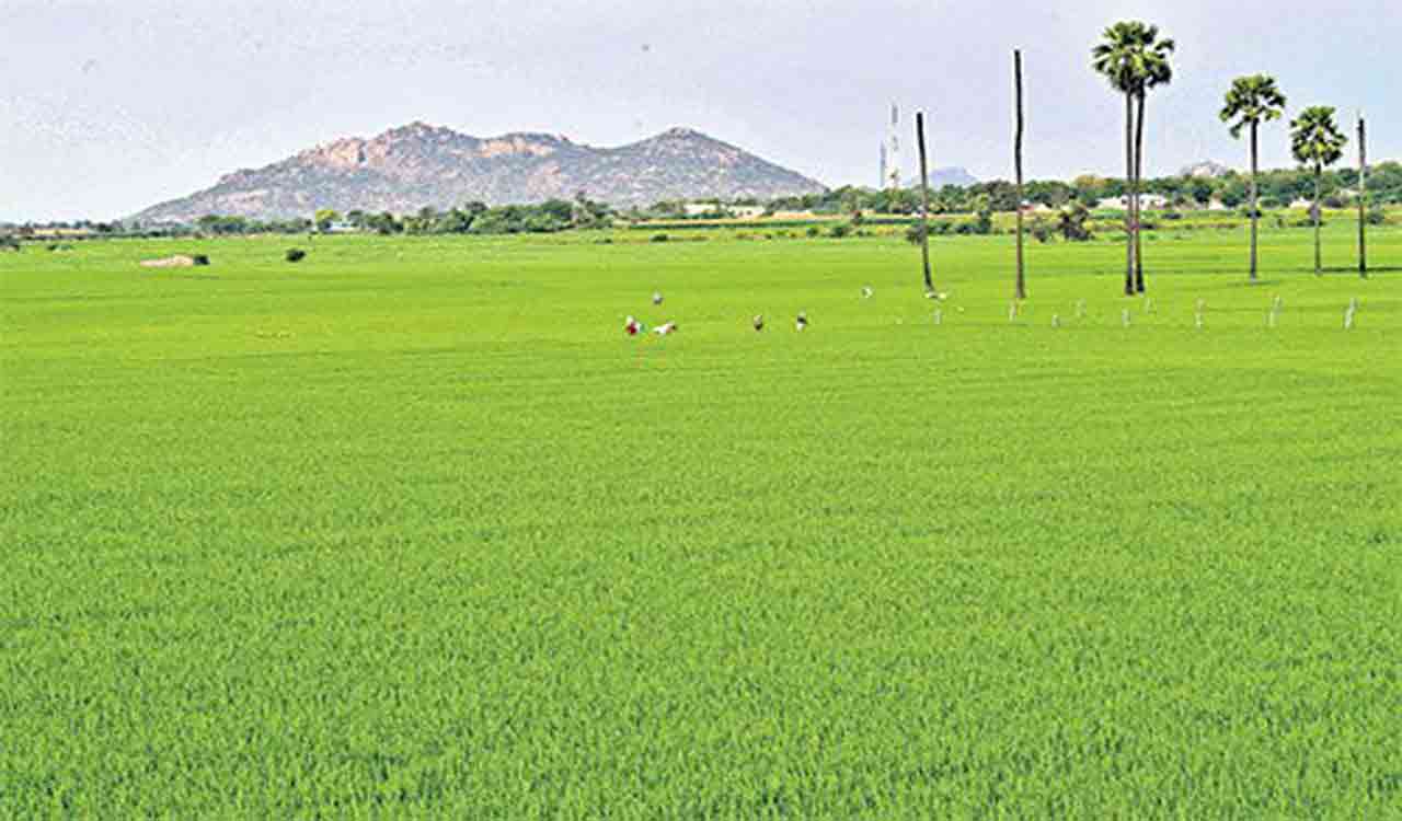 Collector asks officials to educate farmers on loan waiver