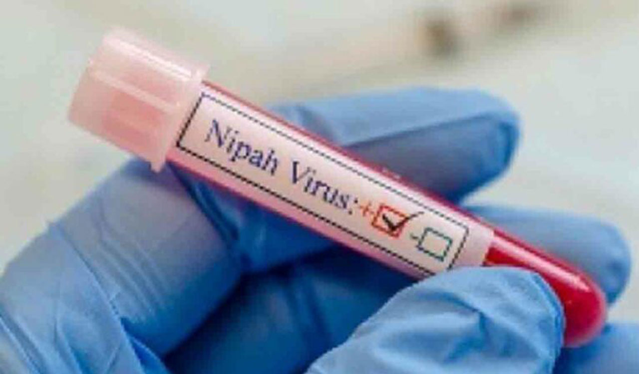 No fresh positive cases of Nipah, results of 51 samples awaited: Kerala govt