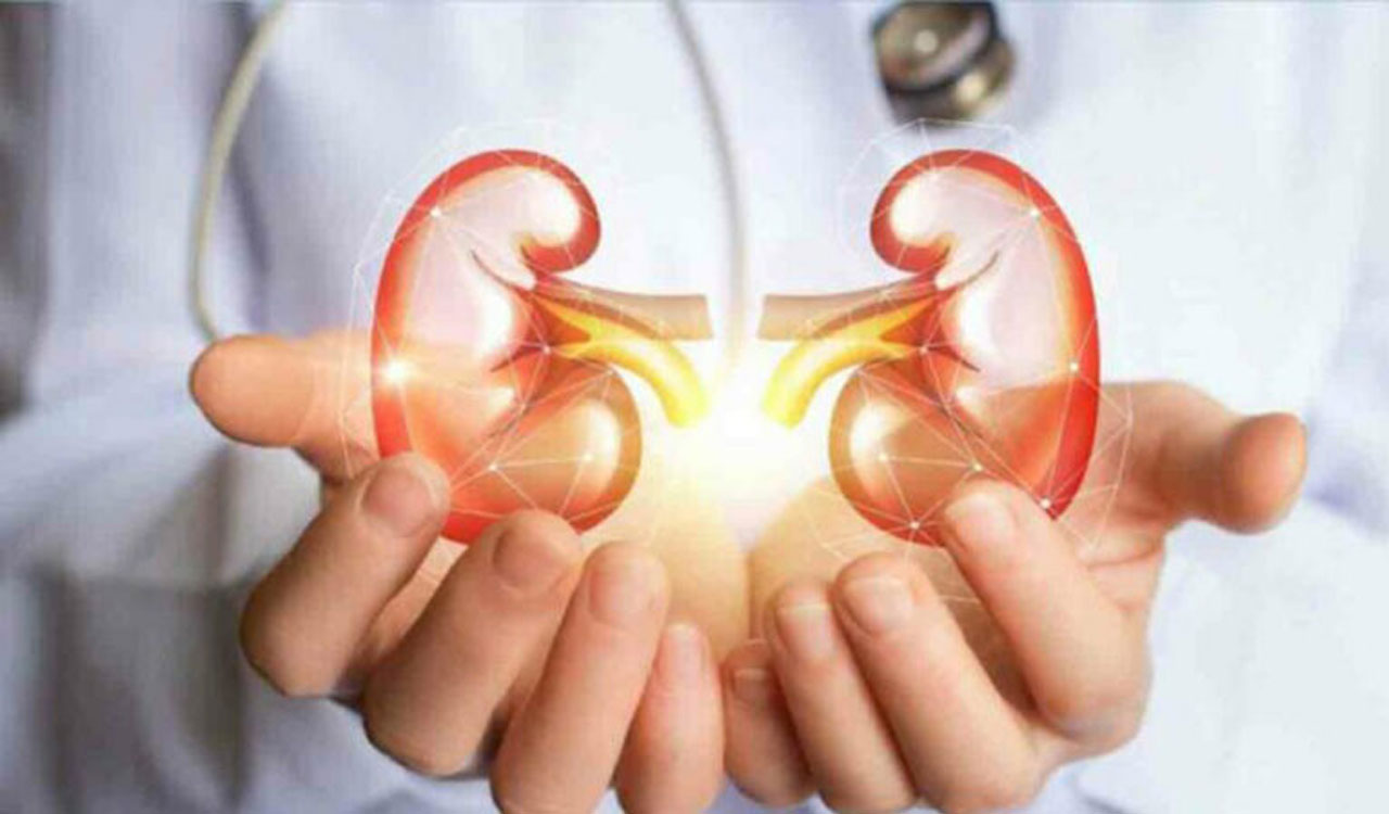 Some kidney patients may benefit most from quick dialysis: Study