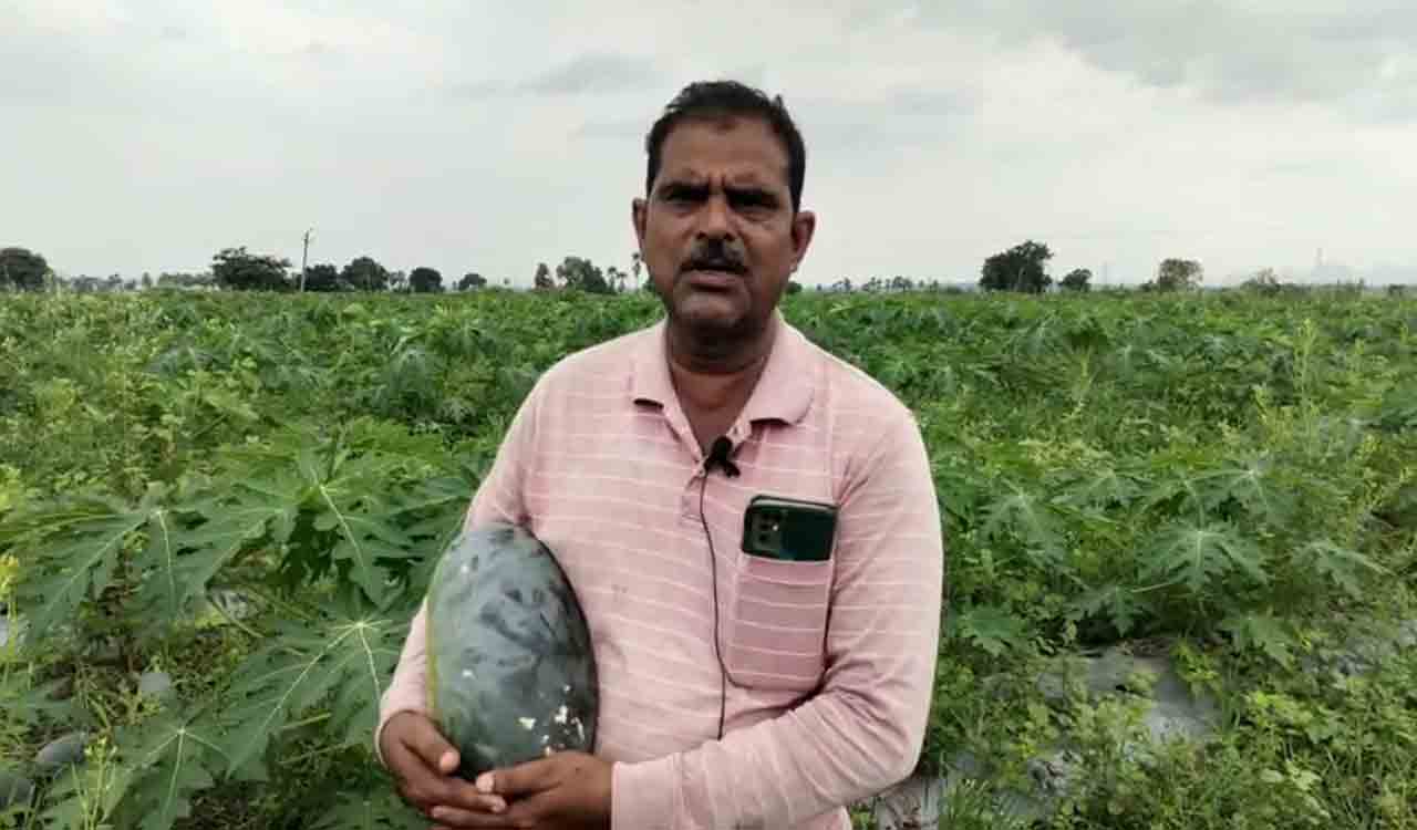 Kothagudem farmer takes to social media to sell watermelons