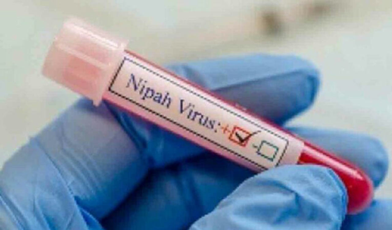 Nipah Virus outbreak: 15 samples in high-risk category sent for testing