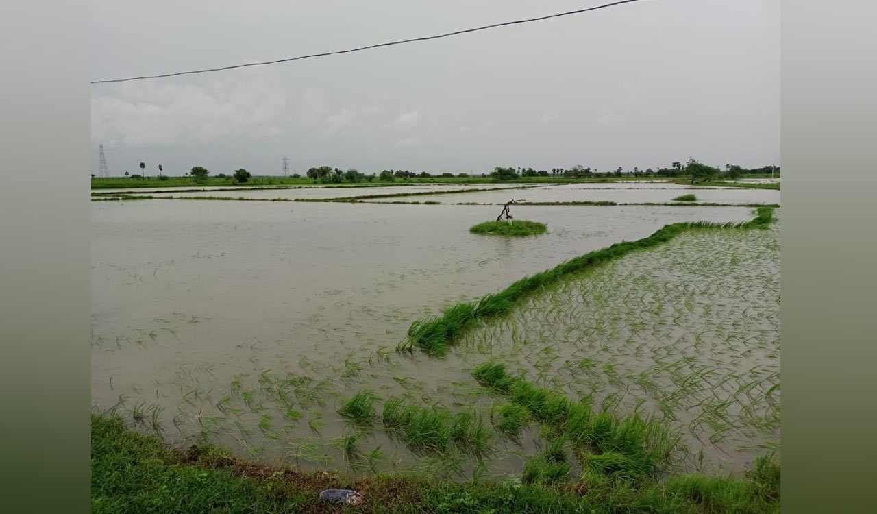 Parts of Asifabad, Mancherial district see light to moderate rains