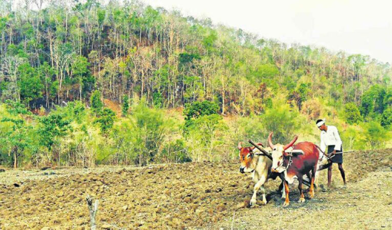 CM Giri Vikasam: Telangana Govt to transform podu lands into fertile grounds for cultivation