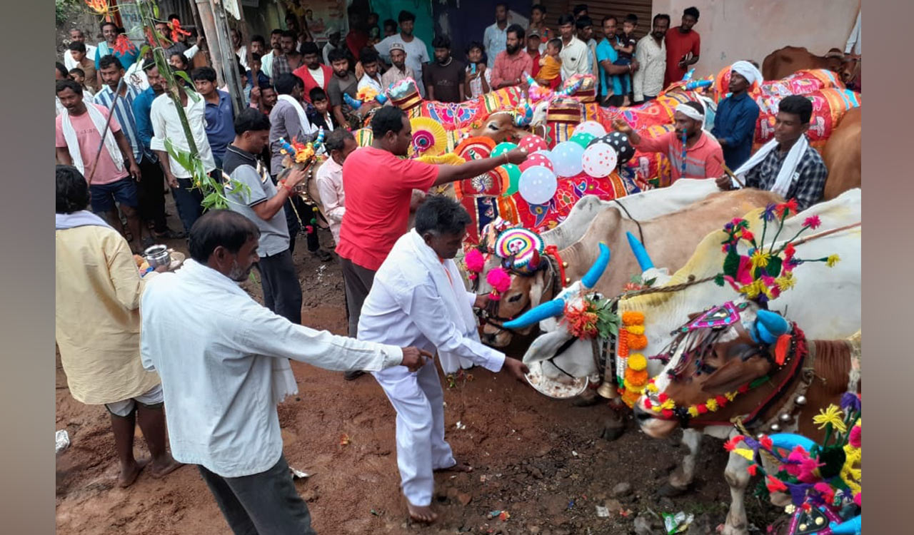 Polala festival celebrated on a grand note in erstwhile Adilabad