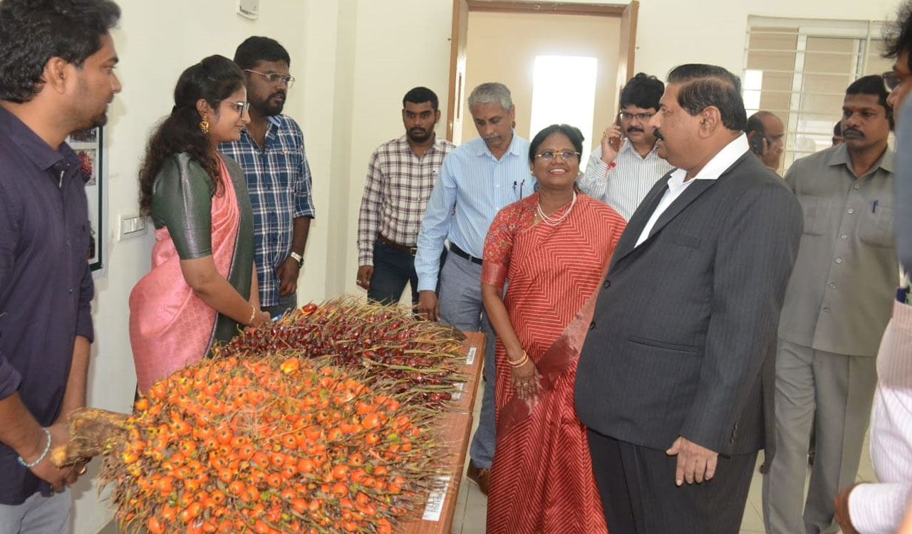 ‘Telangana to increase oil palm cultivation to 20 lakh acres’