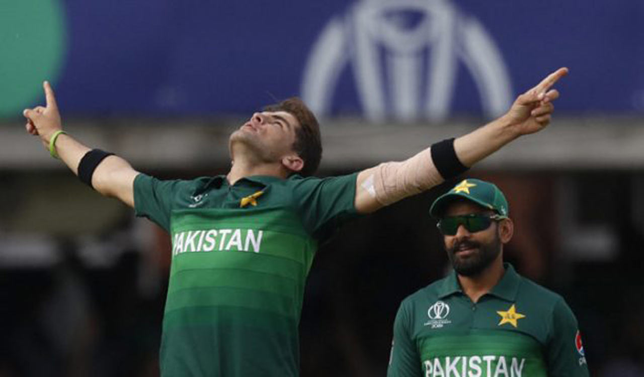 Shaheen Shah Afridi completes 250 international wickets