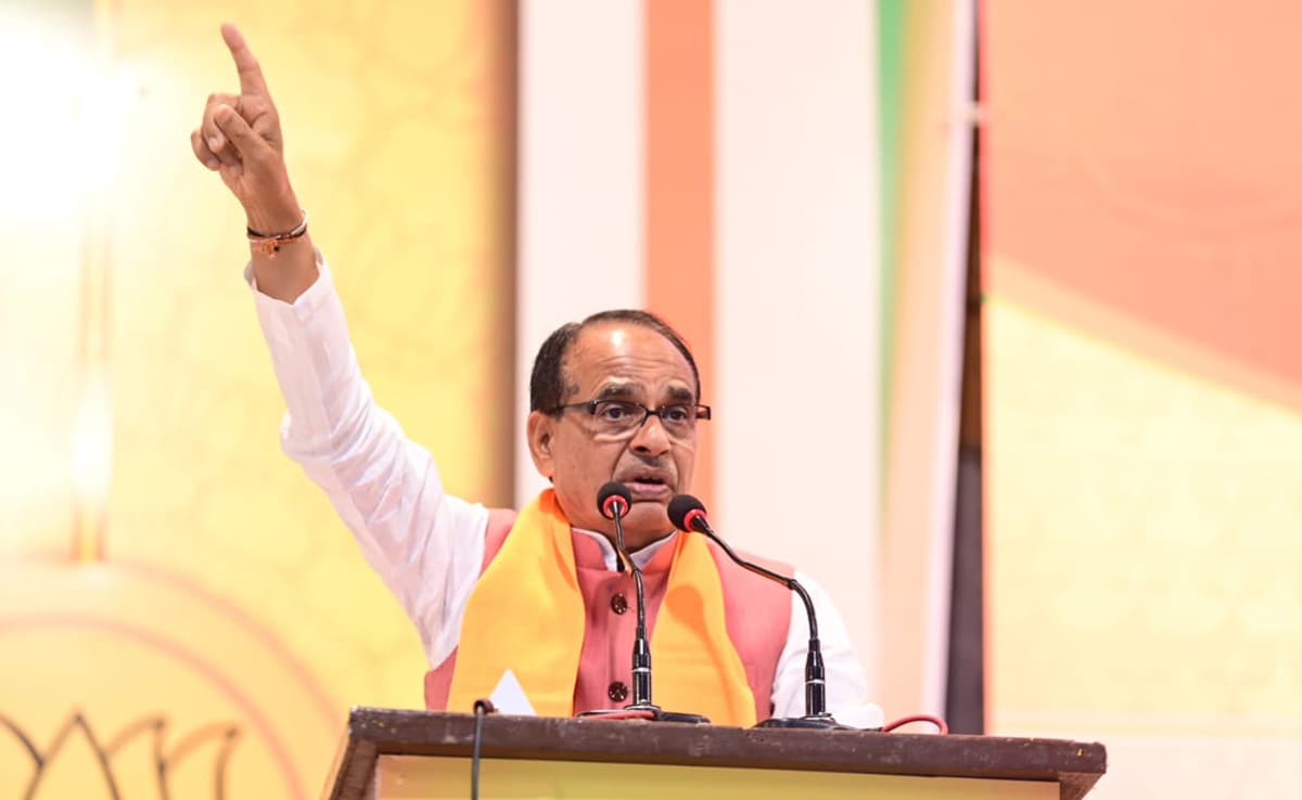 "With Such Warriors, Nobody Can…" Shivraj Chouhan's Praise For Air Force