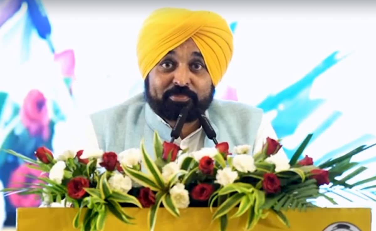 Punjab Gave Over 36,000 Jobs In Past 18 Months: Bhagwant Mann