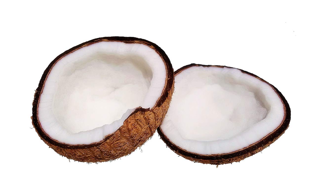 Here are areca and coconut prices-Telangana Today