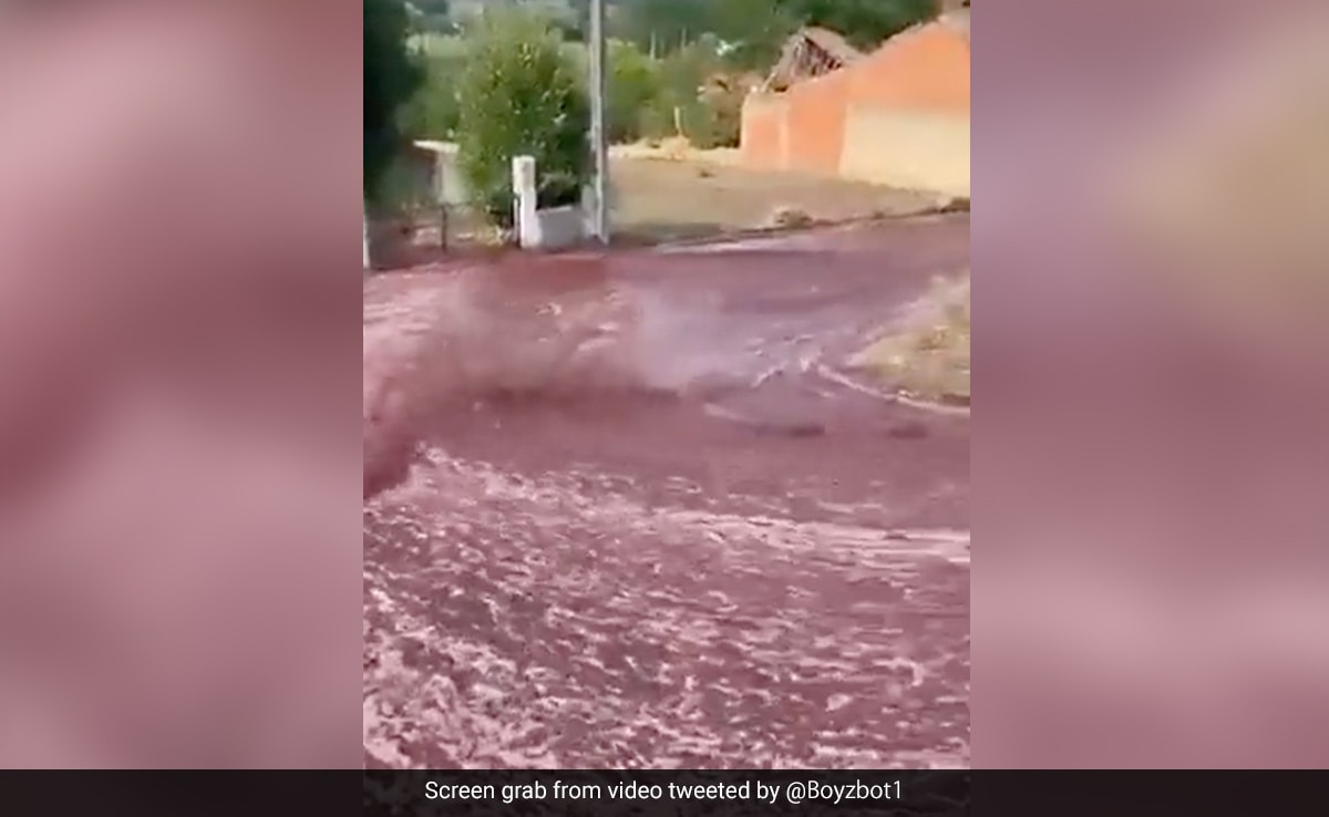 Watch: 2.2 Million Litres Wine Flowed Through Portugal Town. Here's Why