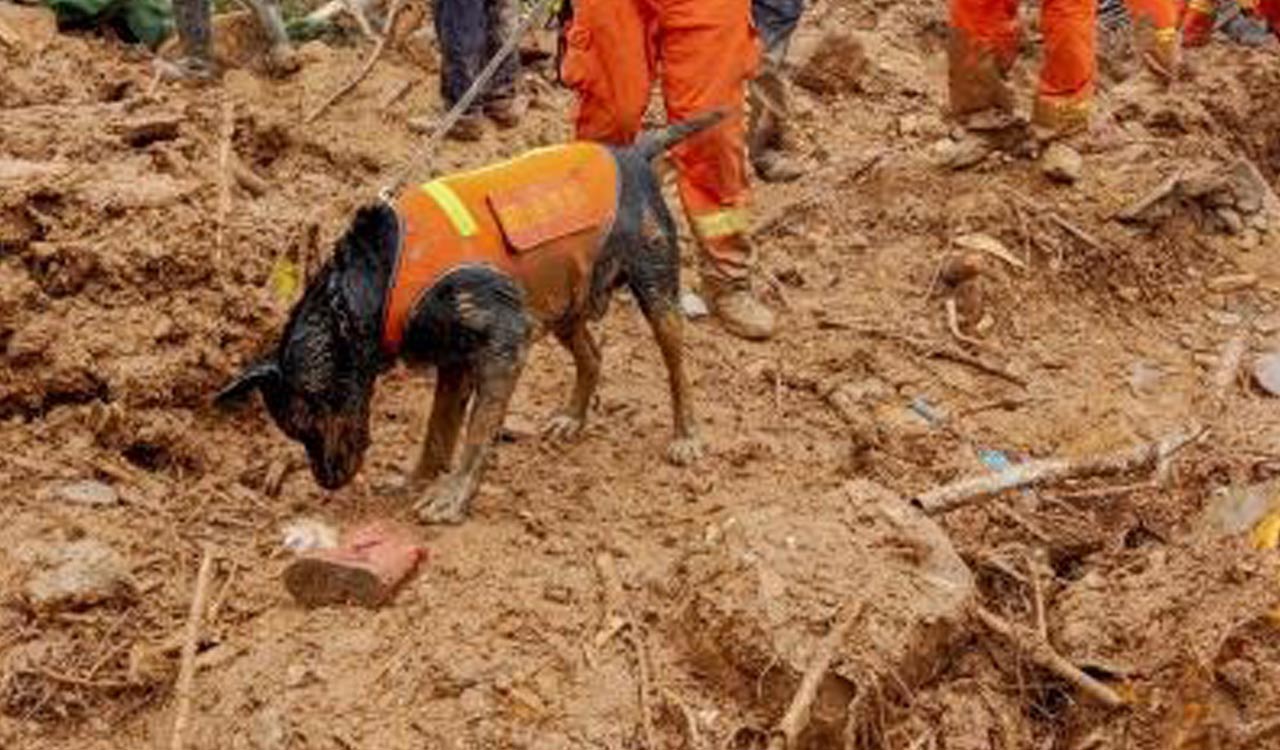 7 missing, 3 injured in rain-triggered landslides in China