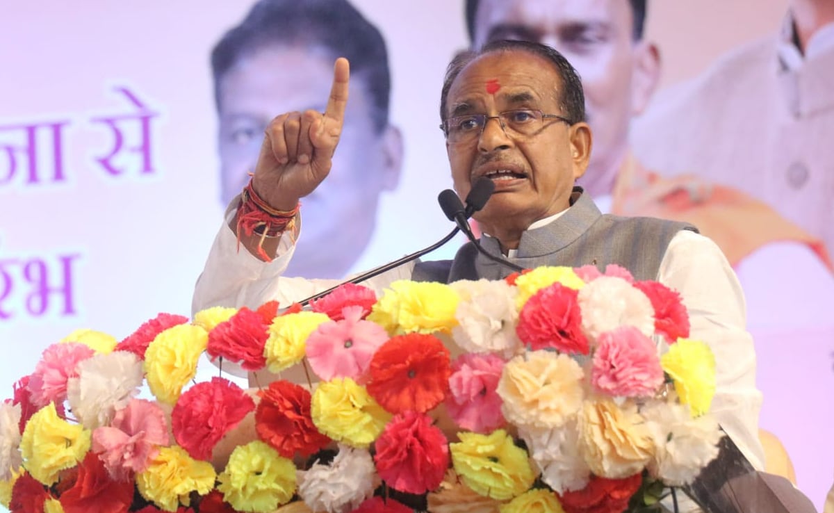 Removed Congress Made Madhya Pradesh 'Bimaru Rajya' Stigma: Shivraj Chouhan