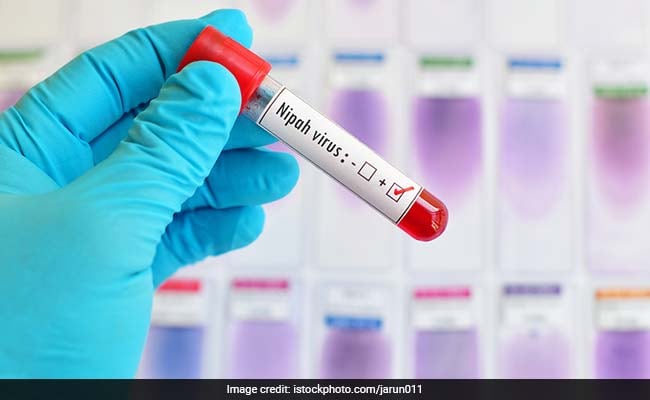 2 Deaths In Kerala Due To Nipah Virus, Centre Sends Team For Assistance