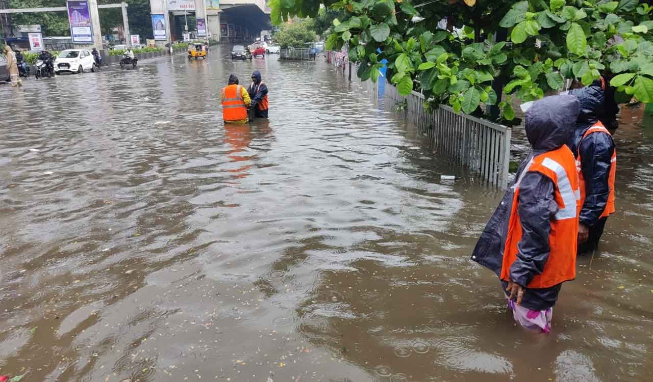 Hyderabad rains: Birds, animals stranded; here’s what you can do to help them out