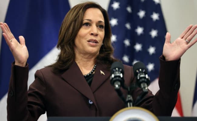 "US Is Torn Apart": Kamala Harris Takes On New Role To Fight Gun Violence