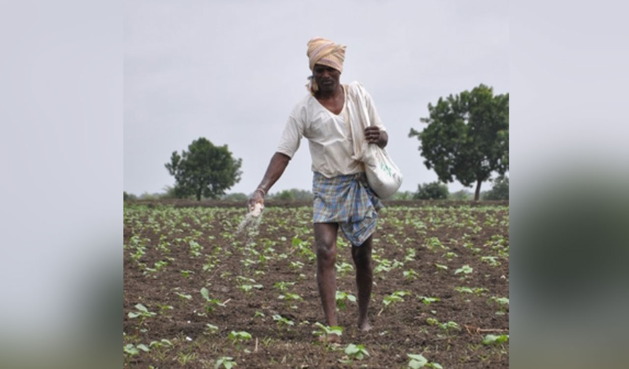 Rewind: Navigating, nurturing farmers’ resilience