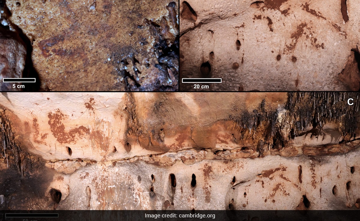 Researchers Discover 24,000-Year-Old Palaeolithic Cave Art In Spain