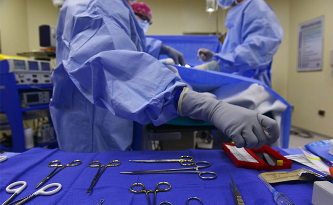 US Surgeons Report Longest Successful Pig-To-Human Kidney Transplant