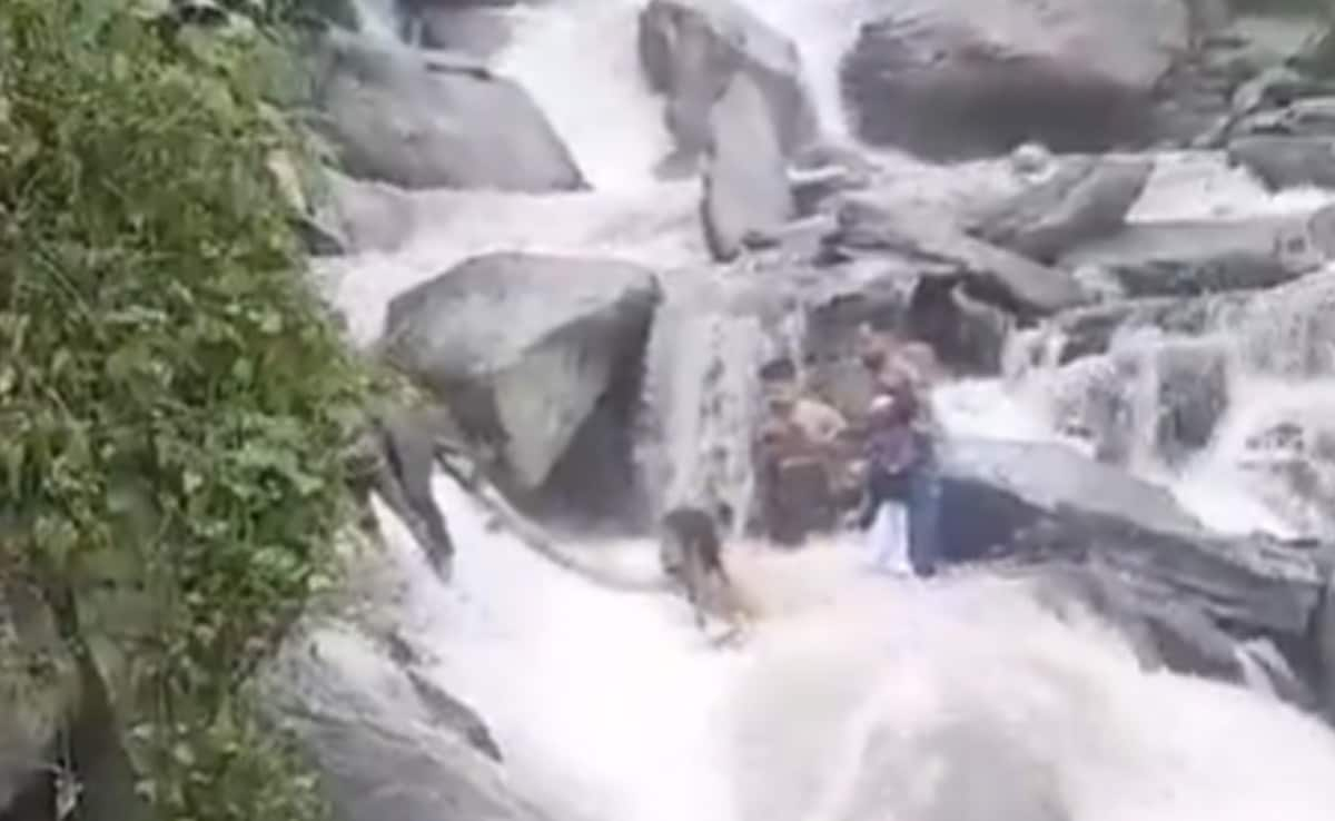 Tourist From Punjab Drowns While Bathing Near Waterfall In Himachal