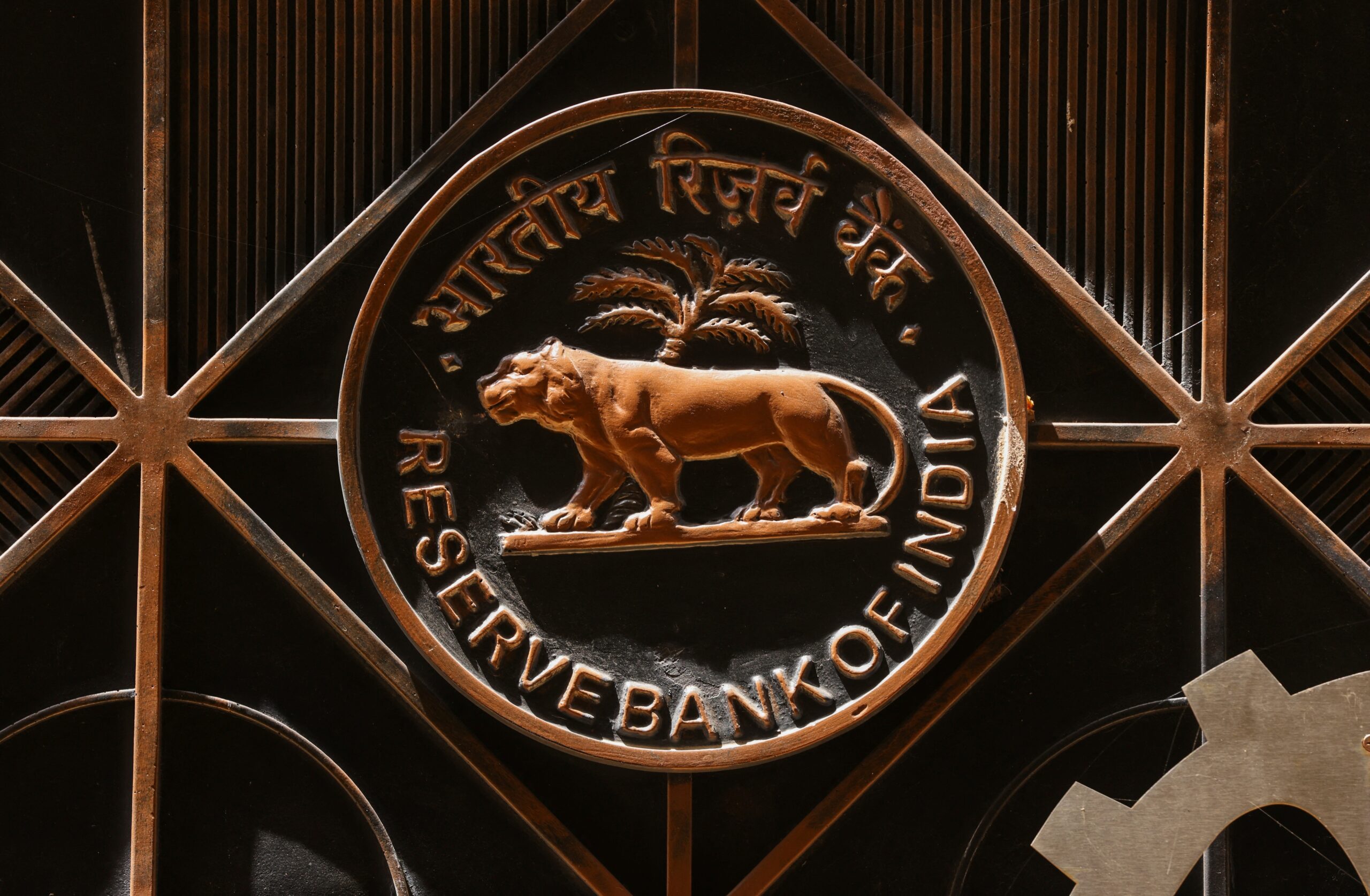 Courts Must Refrain From Delving Into RBI's Monetary Framework: High Court