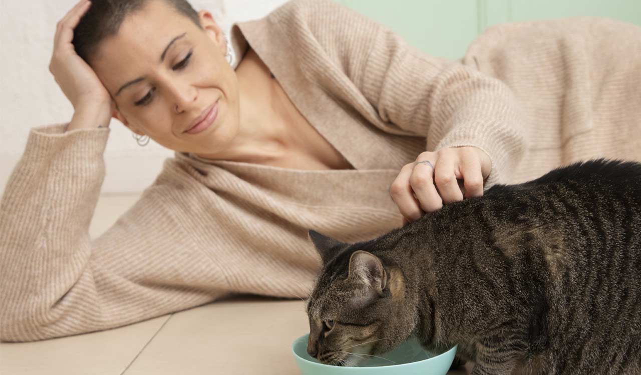 Is it really safe to feed your cat a vegan diet?