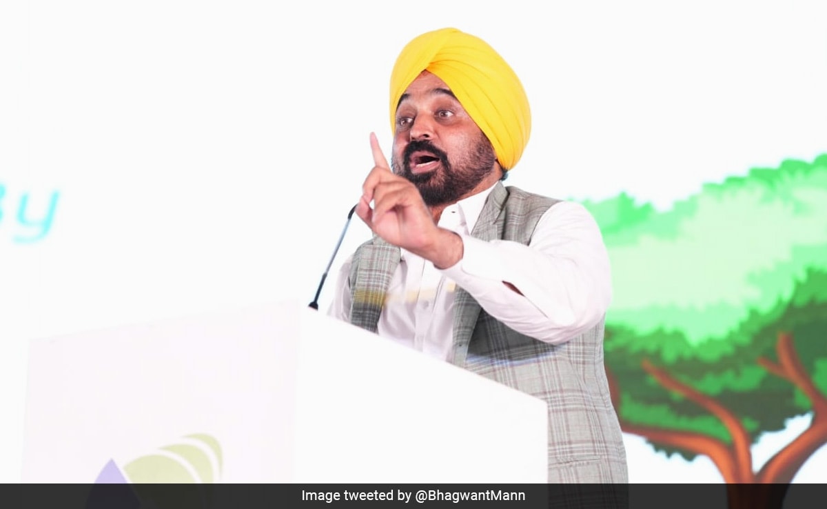 Bhagwant Mann Details How Punjab Used Rs 50,000 Crore Borrowed Funds