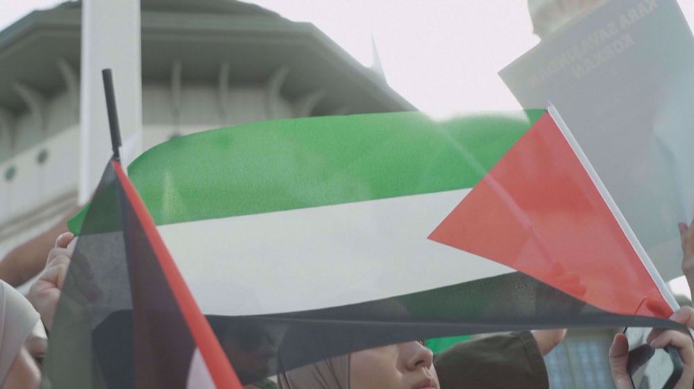 Thousands rally worldwide in solidarity with Palestinians