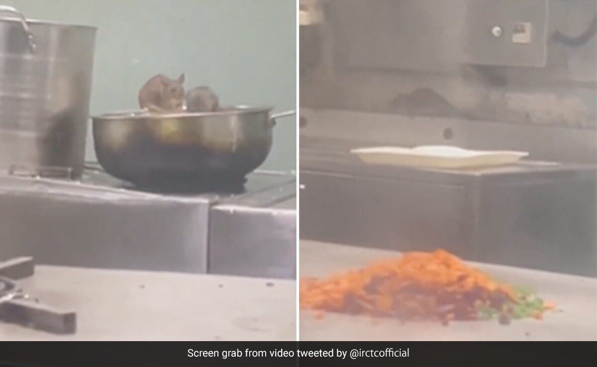 Video Shows Rats In Train Pantry, Railways Responds