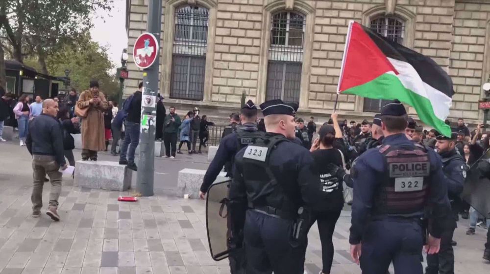 Shocking bias, arrests at banned pro-Palestinian protest in Paris