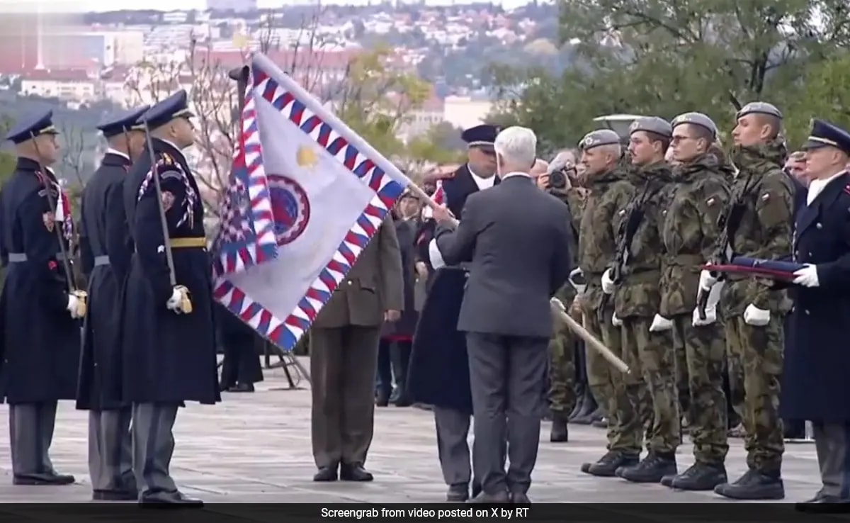 Watch: Czech President Accidentally Knocks Soldier's Hat Off With Flagpole