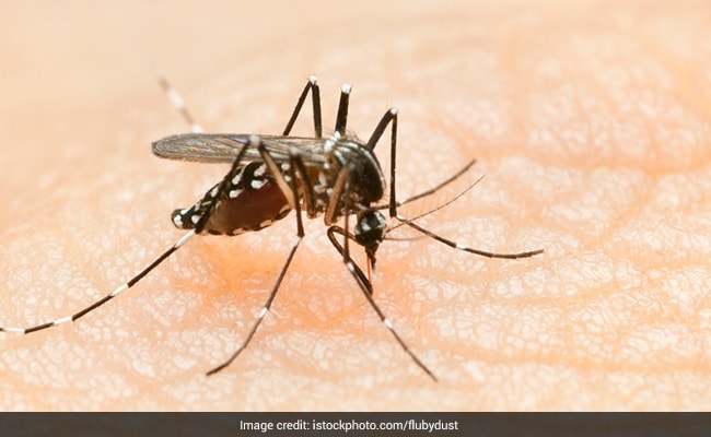 Bihar Records 6,146 Dengue Cases In September, Highest In 5 Years