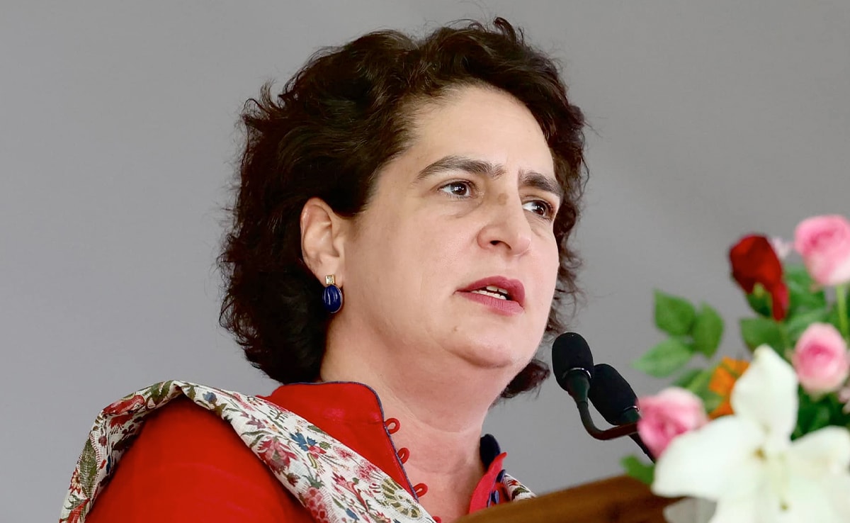 Subsidised Cylinders, Loan Waivers: Priyanka Gandhi's Chhattisgarh Poll Pitch