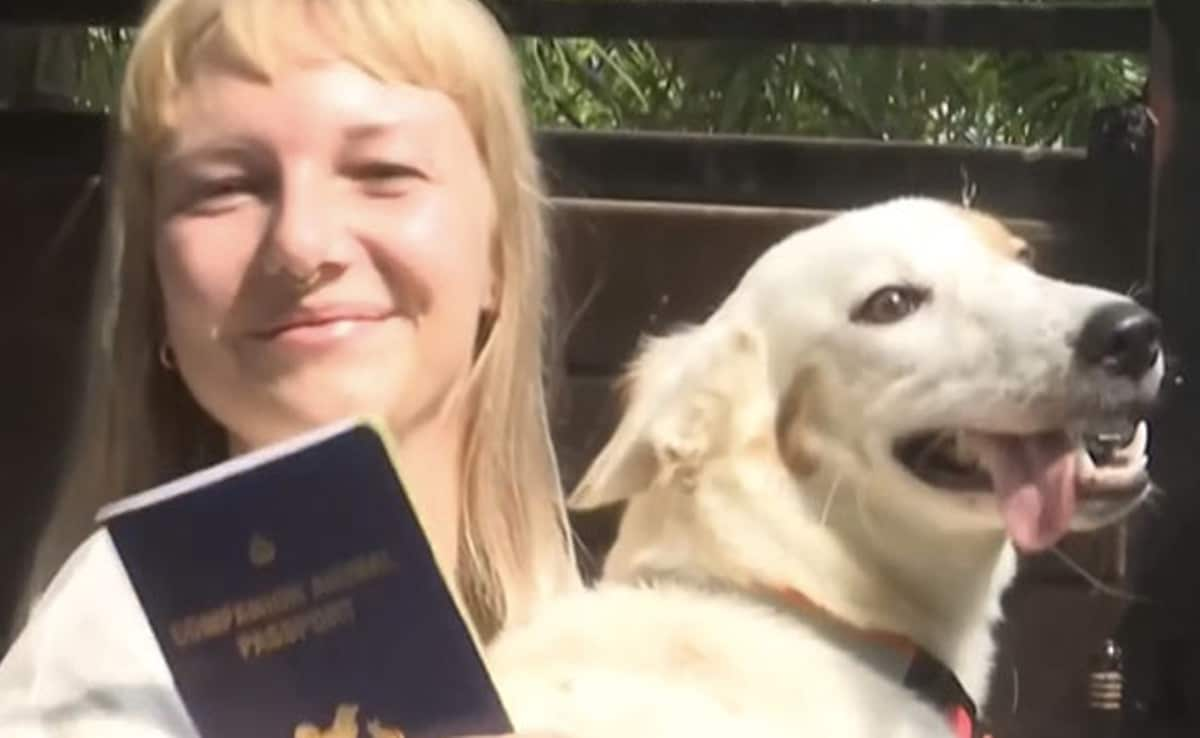 Raised On Lanes Of Varanasi, Street Dog Set To Fly With Dutch Owner