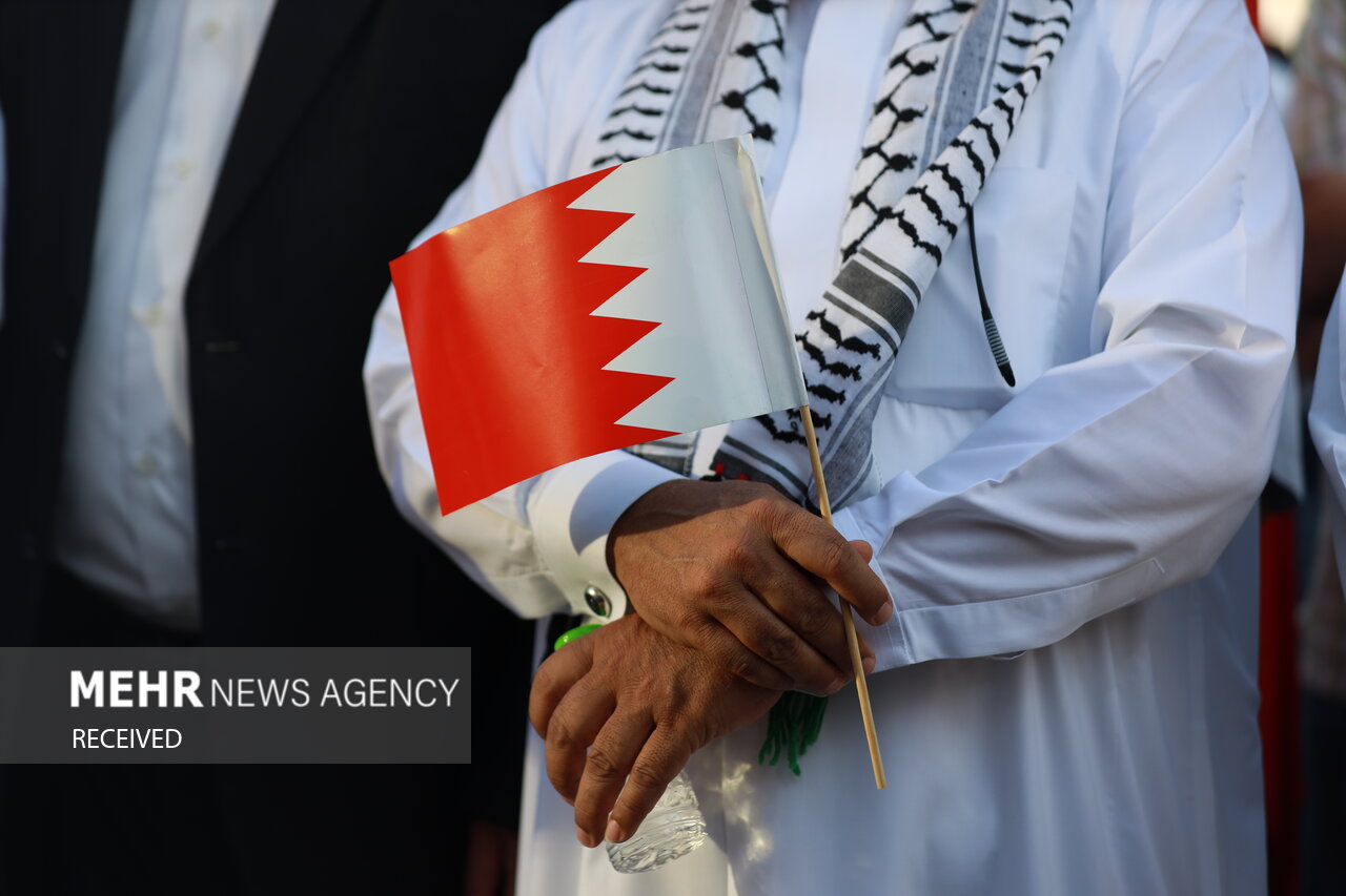 Bahrainis hold rally in support of Gaza, Palestinians