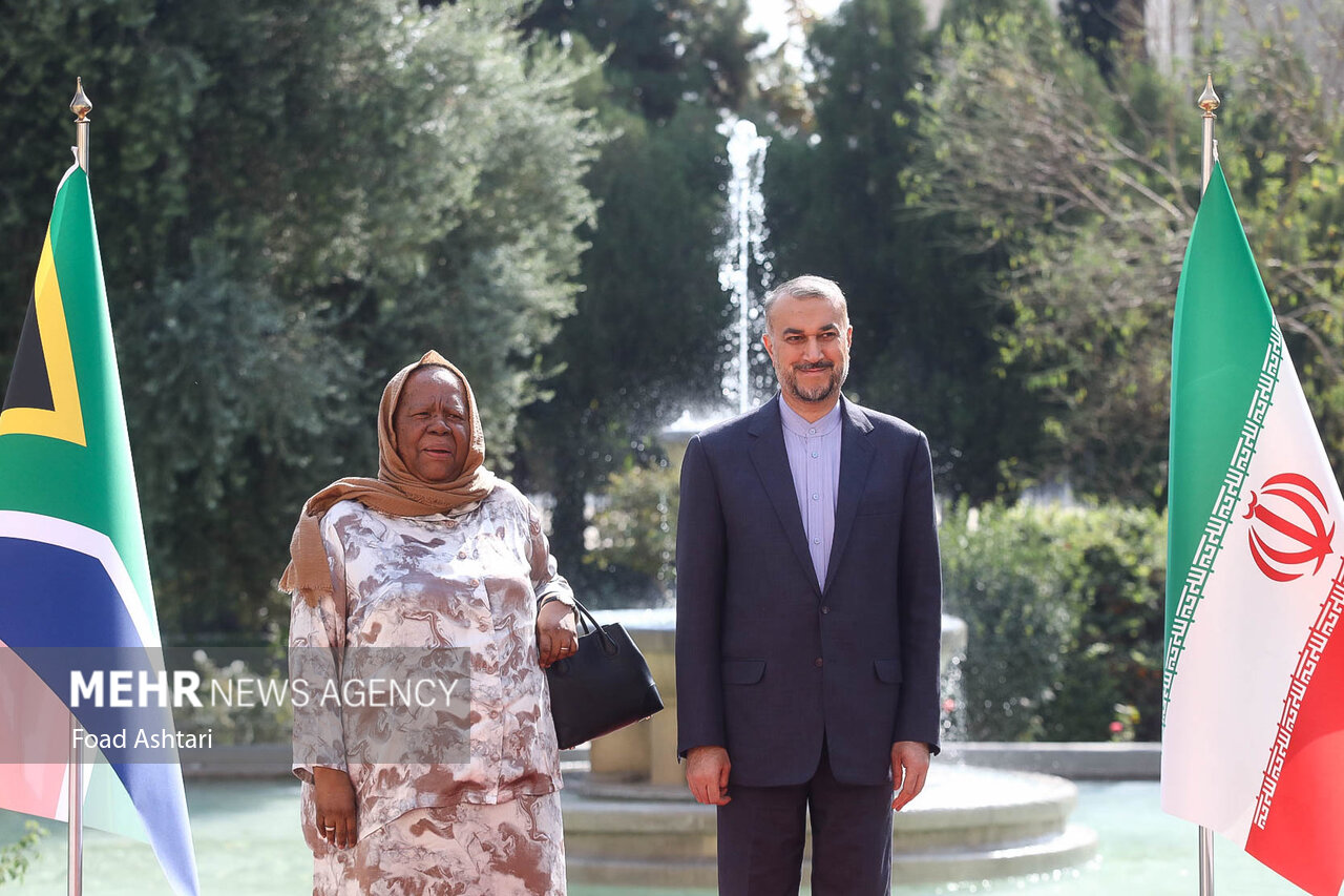 Iranian, South African FMs meet in Tehran