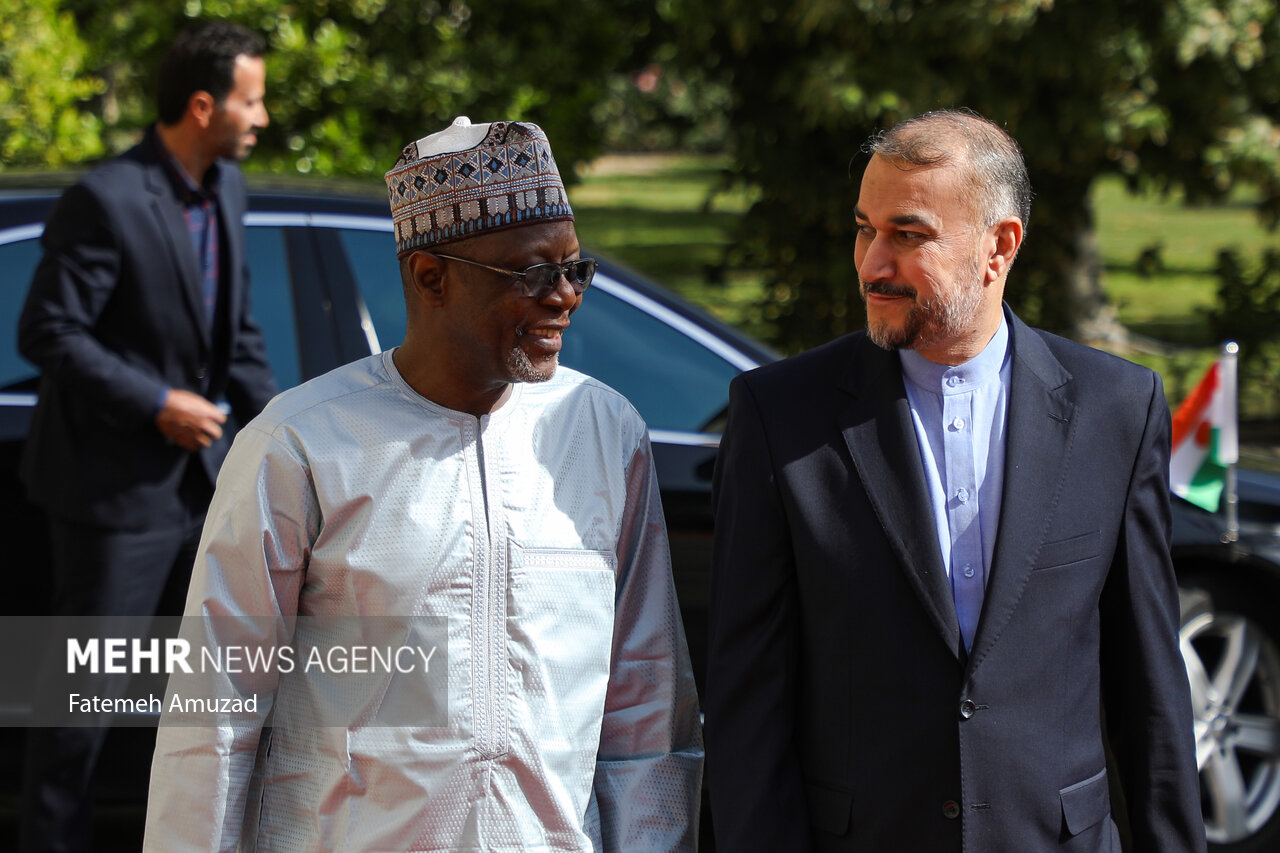 Meeting of Iran, Niger top diplomats in Tehran