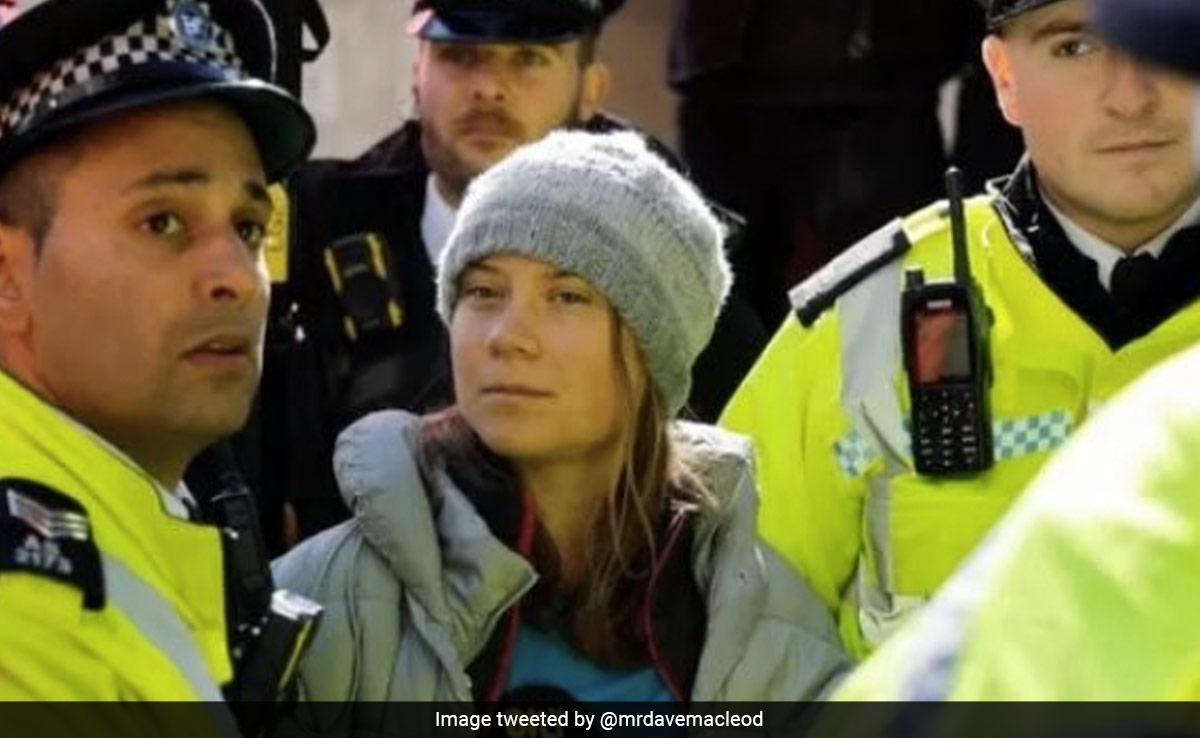 Greta Thunberg Charged With Public Order Offence After London Oil Protest