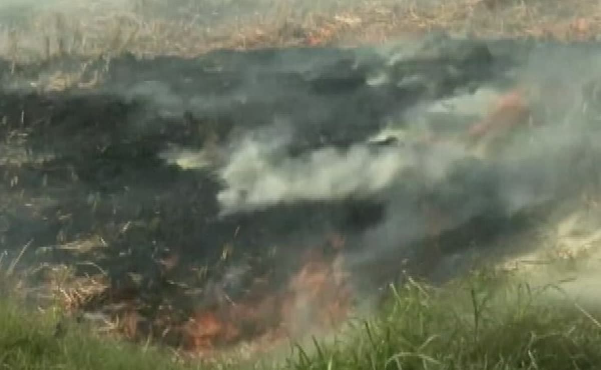 Air Quality Concerns As Punjab Stubble-Burning Returns Ahead Of Winter