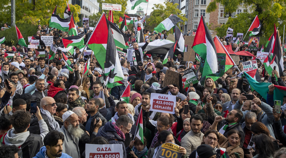 Demos held across Europe in support of Palestinians