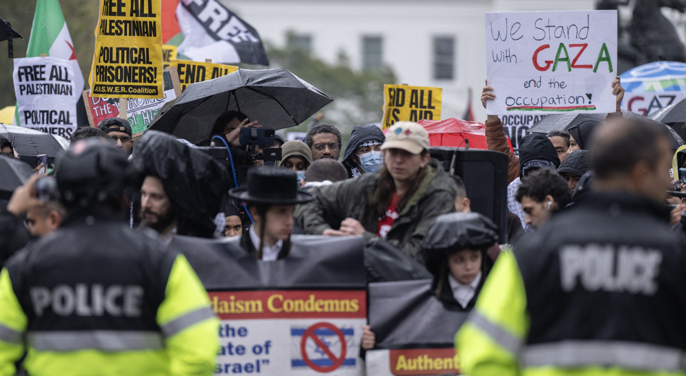 Pro-Palestine demonstrators rally at US capital