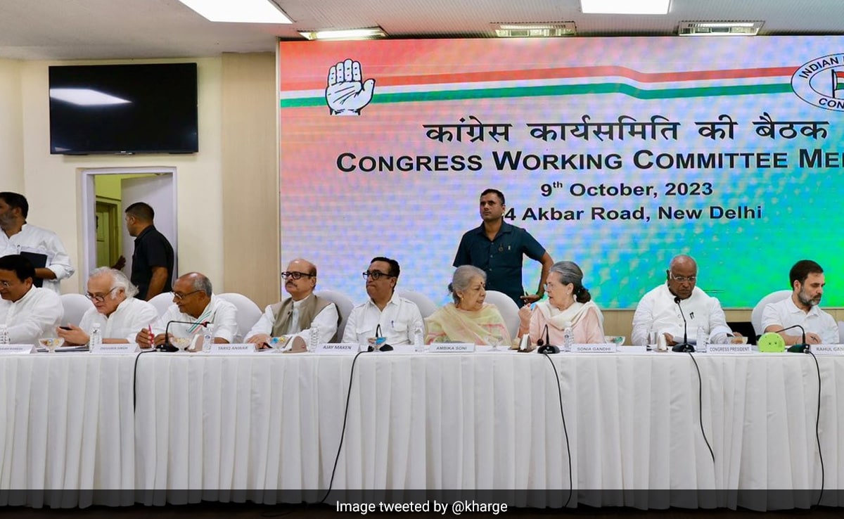 Supporting Terror Outfits: BJP After Congress Extends Support To Palestine