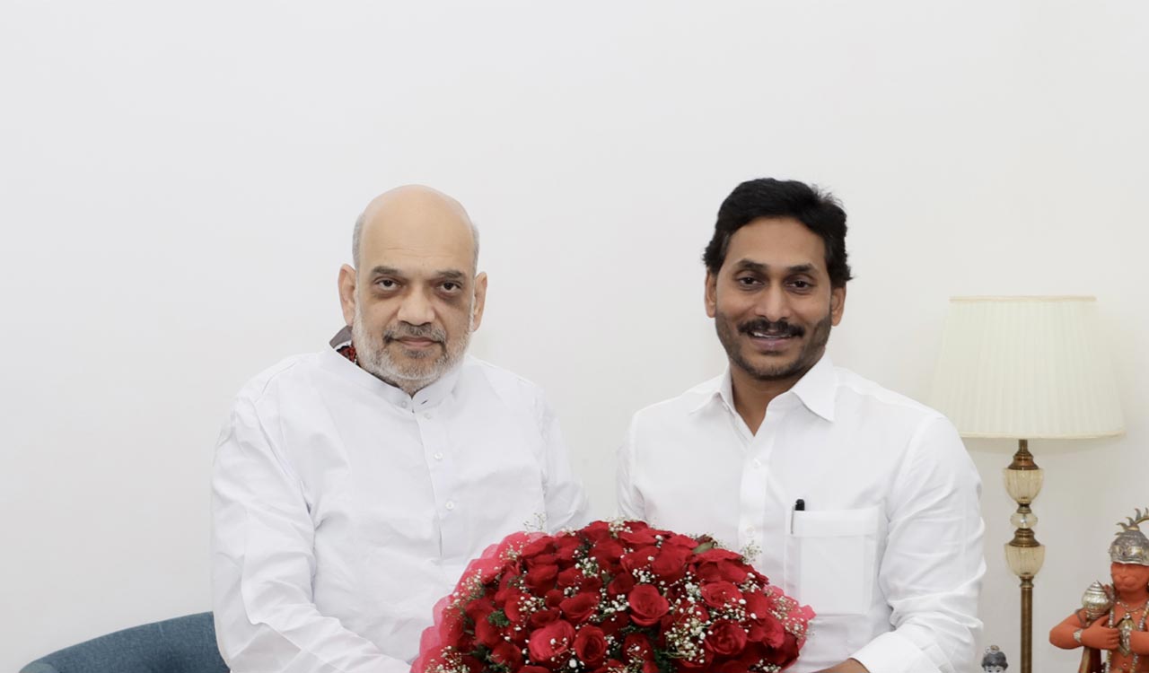 Andhra CM meets Home Minister Amit Shah, appeals to address pending state issues