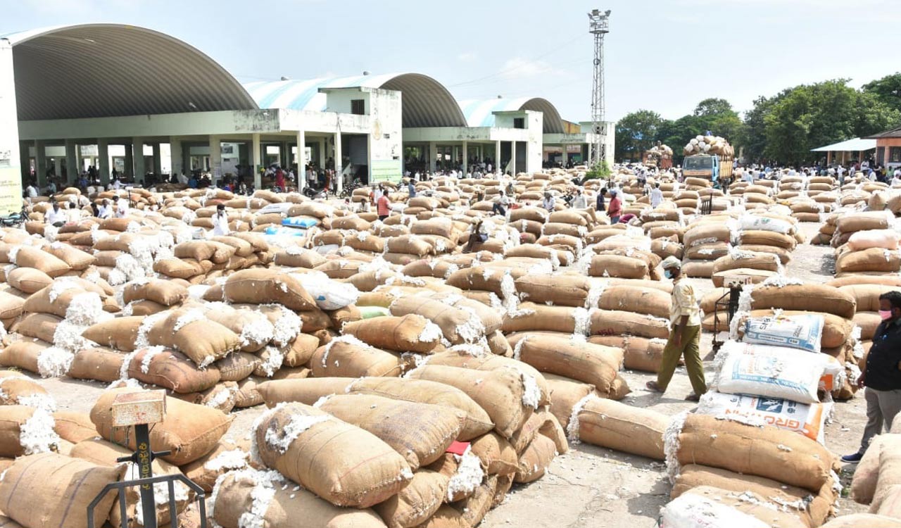 CCI to set up 23 cotton purchase centres in Warangal