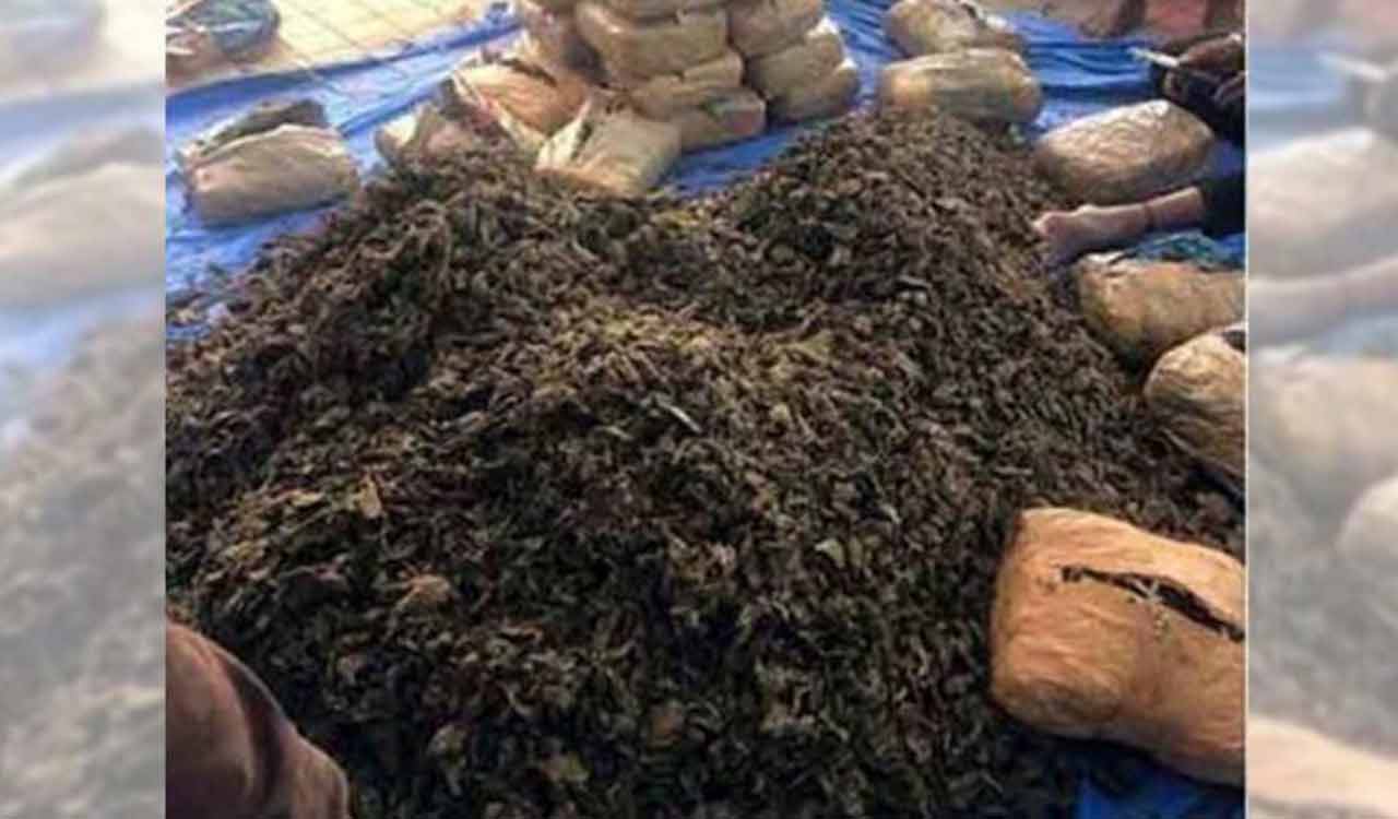 Rachakonda police nab person transporting 10 kg ganja