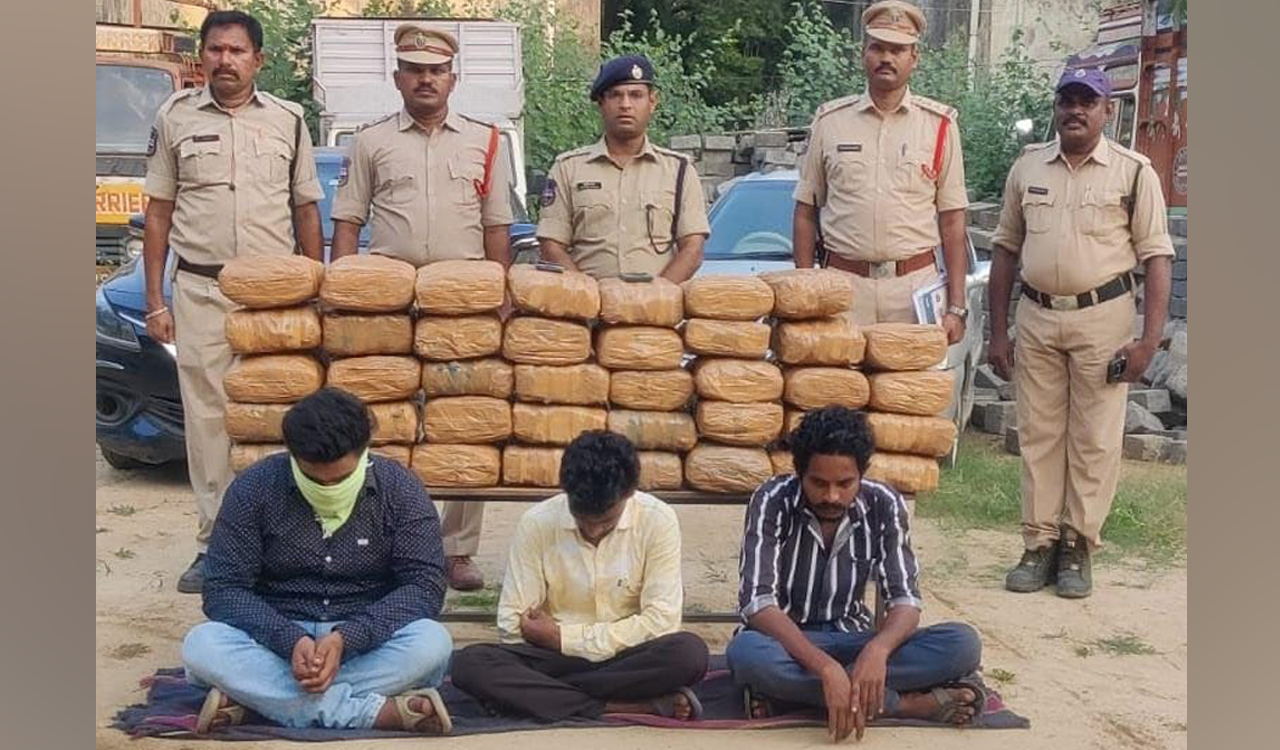 40 kg ganja seized, three arrested at Bhadrachalam